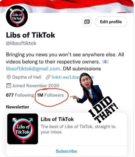 libs of tik tok|libs of tik tok meaning.